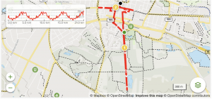 herning-run